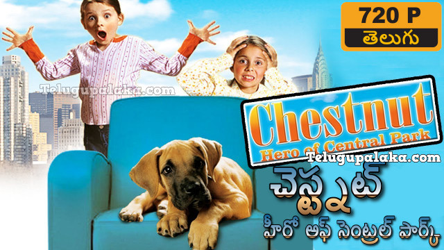 Chestnut Hero of Central Park (2004) Telugu Dubbed Movie Chestnut Hero of Central Park (2004) Telugu Dubbed Movie