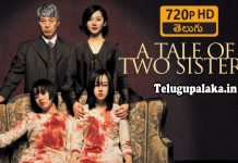 A Tale of Two Sisters (2003) 720p BDRip Multi Audio Telugu Dubbed Movie A Tale of Two Sisters (2003) Telugu Dubbed Movie